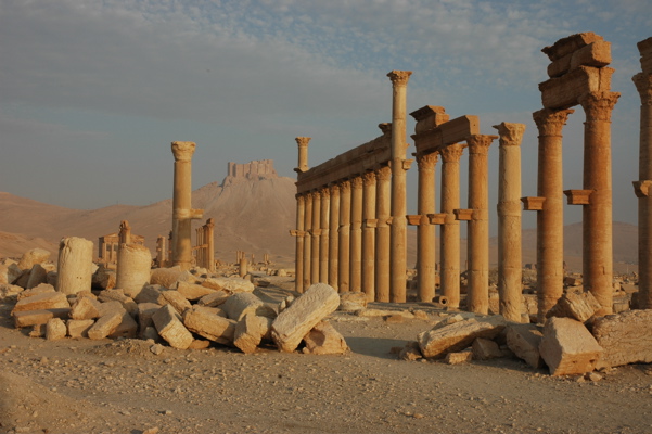 Palmyra