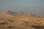 Palmyra