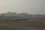 Palmyra