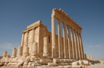 Palmyra